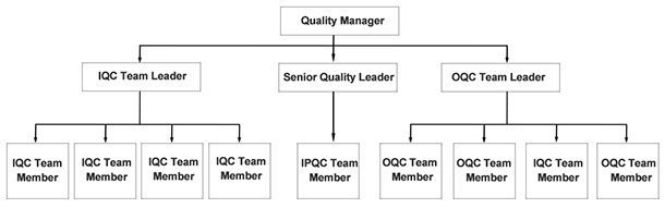 Team Structure